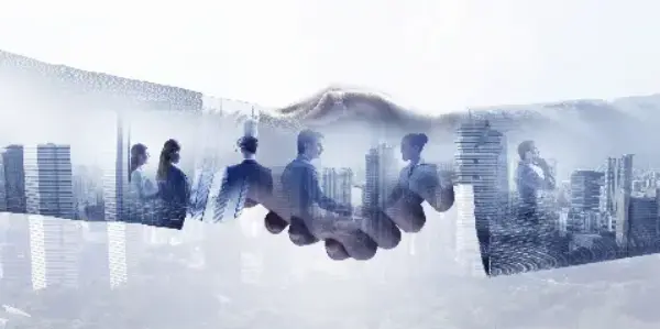 Our Business Partners